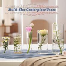 5pcs Glass Vase Cylinder Vases For Centerpieces Small Flower Glass Vases Home Decor Centerpiece Table Clear Flower Vase Decorations For Wedding&Holiday 4,6,7.5,8,10 Inch Tall - 無色 - 查看 5