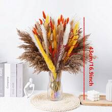 27/38/45/100/110/200 Pcs Artificial Pampas Grass Bohemian Style Dried Flowers Bundle - 50 Stems Pampas Decor, 30 Natural Dried Feather Grass, 120 Natural Bunny Tails For Versatile Rattan Tabletop Decor - Beige - View 30