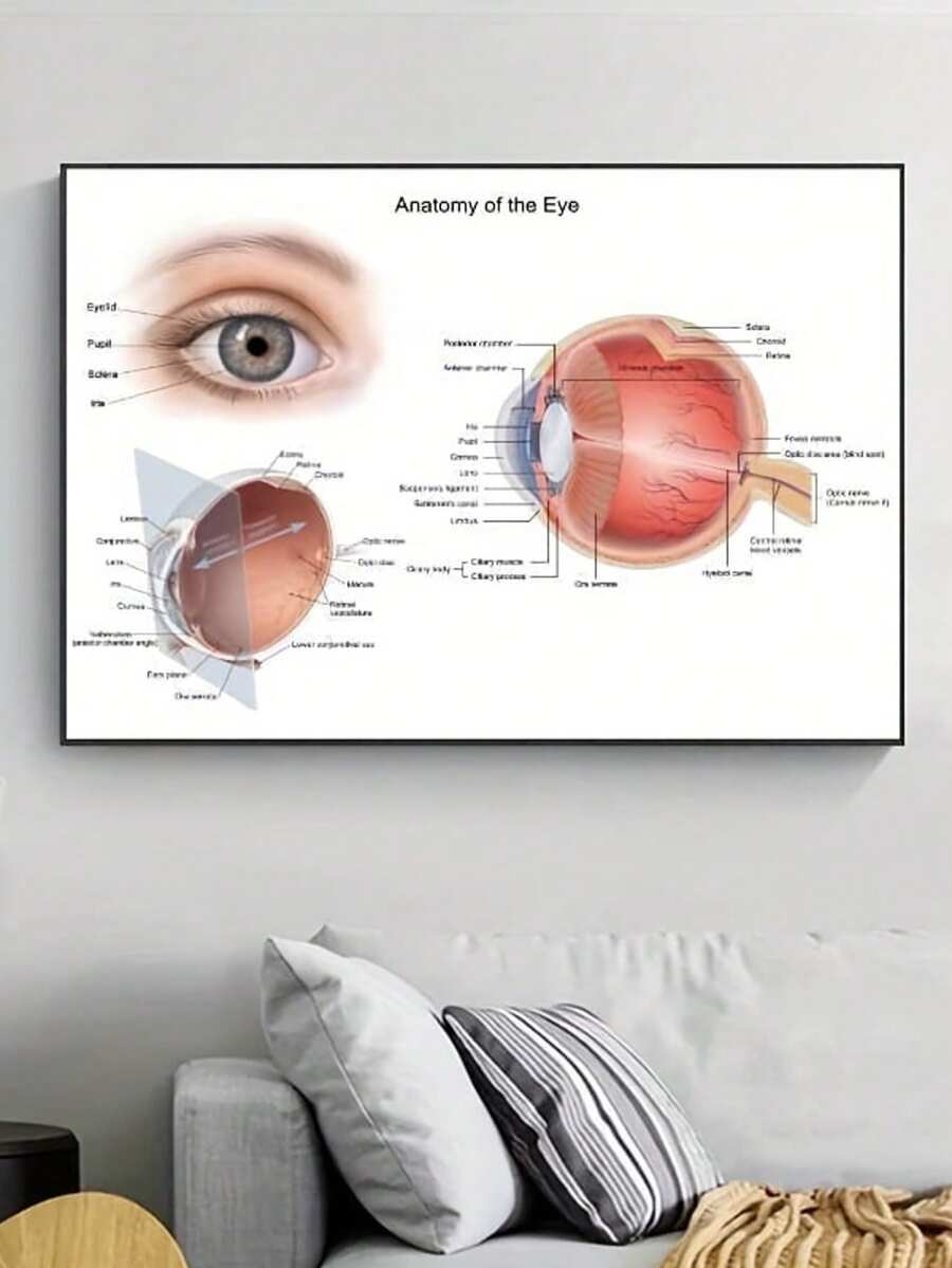 Impresión artística en lienzo del diagrama de anatomía del ojo - Póster sin marco del diagrama optométrico para decoración del hogar y la oficina, perfecto para la sala de estar, el dormitorio y el baño - Multicolor - Ver 1