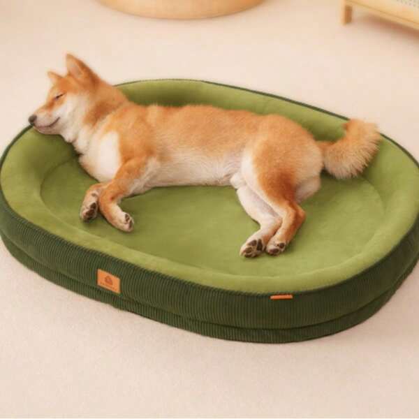 1pcThicker Warming Pet Bed,Dog Bed, New Plush Pet Bed,Medium And Large Dog Raised, Thickened, Non Collapsing Pet Supplies, Oval Shaped Pet Bed, Universal For All Seasons, Removable And Washable Dog Bed