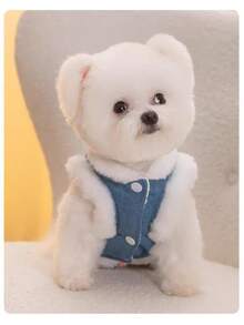 1 szt. Nowa kamizelka dżinsowa z klamrą do smyczy dla małego misia, z podszewką termiczną, odpowiednia dla małych psów, takich jak pudle, pluszowe misie i .