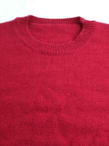 Women's Crew Neck Knit Sweater, Casual Striped Ribbed Patchwork, Spring/Autumn - Jujube Red - View 3