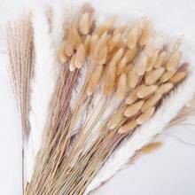 27/38/45/100/110/200 Pcs Artificial Pampas Grass Bohemian Style Dried Flowers Bundle - 50 Stems Pampas Decor, 30 Natural Dried Feather Grass, 120 Natural Bunny Tails For Versatile Rattan Tabletop Decor - Beige - View 9