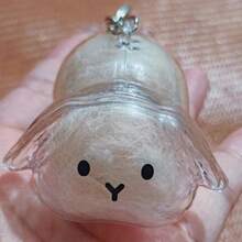 1pc Rabbit Fur Key Chain, Transparent Gashapon Charm, Rabbit Hair Memorial Capsule, Cute Pet Hair Collection Box, Bag Charm Accessory, Exclusive For Pet Owners, Creative Pet Memorial Gift Christmas