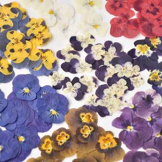 A Pack Of 100pcs Dried Flowers, Pressed Flowers, Preservation Flowers For DIY Fragrance Pack, Embossed Plant Specimens Drip Glue Photo Frame Bookmark Aromatherapy Candle Handmade DIY Phone Cases Embossed Table Lamp Candle Soap Making Silk Fan Home Decoration Ornaments To Send Friends Gift Flowers