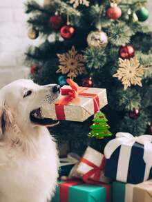 20 Stücke DIY Holz Weihnachtsbaum Ausschnitte - unbearbeitete blanke Holzbaumformen zum Selbstbemalen & Basteln. Erstelle einzigartige festliche Heimdekoration, Weihnachtsbaum Anhänger & Party Dekorationen