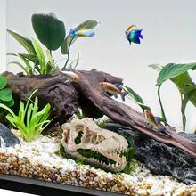 1pc Aquarium Decor Resin Dinosaur Skull, Reptile, Spider, Lizard, Snake Ornament For Fish Tank Landscaping (Small/Large)