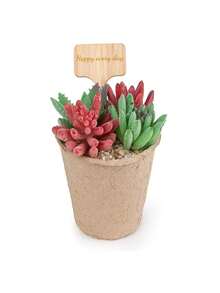 Targhetta in legno personalizzata con nome famiglia, decorazione da giardino personalizzata, fai da te, etichetta in legno per piante grasse, cartellino floreale, etichetta creativa per giardinaggio, regalo di Ringraziamento, regalo per amanti dei libri, decorazione d'interni estetica con fiori e articoli essenziali, per casa, libreria, camera da letto, soggiorno e ufficio, regalo per signore e insegnanti - San Valentino, matrimonio, regalo del lunedì