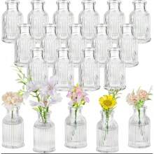 1 pieza Jarrón de vidrio retro a rayas, jarrón de flores de vidrio transparente simple con decoración de capullos de flores para el Día de la Madre, decoración de escritorio para el hogar, jarrón de arreglo floral, adorno para el cuidado de las flores, regalo para mi madre, decoración del hogar, decoración de la habitación