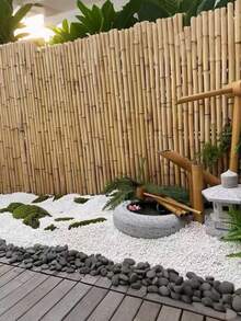 迷你白色鹅卵石填充物，适用于多肉植物、仙人掌、盆景和其他DIY植物，可用于岩石花园装饰，也适用于室内/室外、水族箱、玻璃容器和微景观。 - 白色 - 查看 4