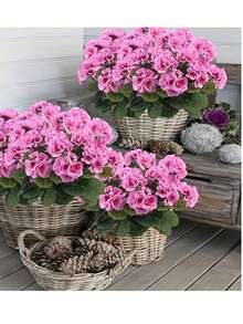 4pcs/1pc/2pcs Artificial Geranium Flowers With Green Foliage, Realistic Silk Flowers For Indoor & Outdoor Decor, Perfect For Garden, Porch, Patio, Window Box, And Hanging Planter, Maintenance-Free Plants