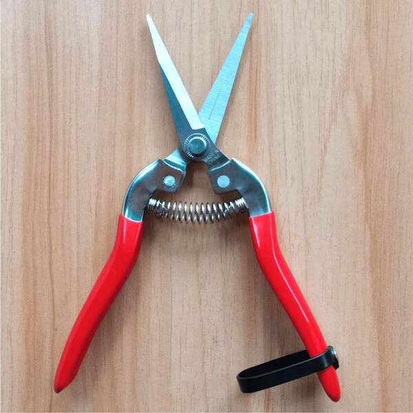 1PC Premium Stainless Steel Gardening Pruning Shears, Soft Rubber Non-Slip Handle For Fruit/Vegetable Picking, Bonsai Trimming, Flower Care And Gardening,Gardening Supplies,Gardening,Garden Supplies,Garden.