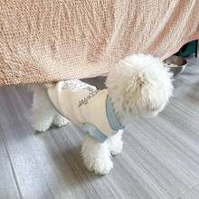 1 件轻便宠物狗/猫衣服，适合贵宾犬、泰迪犬、比熊犬、马耳他小型犬，防脱毛背心，四季皆宜 - 彩色 - 查看 14