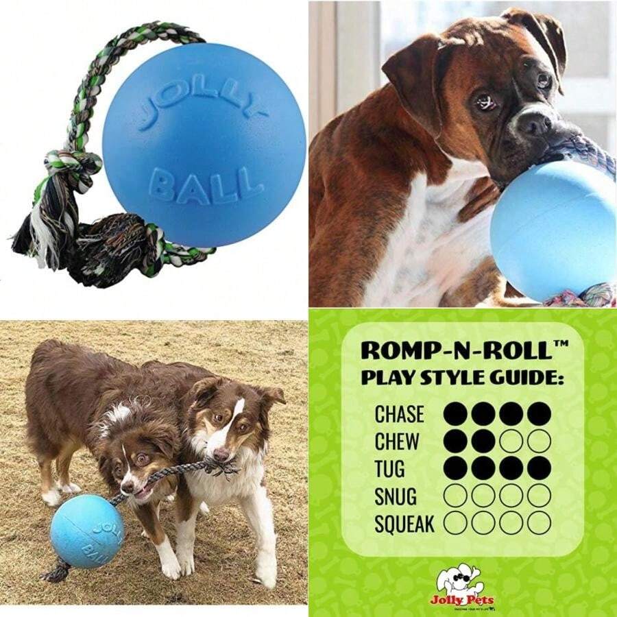 Jolly Pets Romp-n-Roll Rope and Ball Dog Toy, , Blue(8 in (Pack of 1) Azul (Arándano)) - Tipo 2 - Ver 1