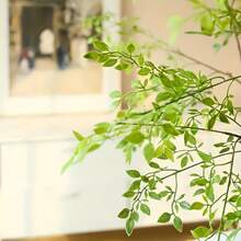 3PCS, Green Plants 93CM Long, Artificial Southern Bamboo, Imitation Bamboo Leaves, Branches And Leaves Decoration, Simple And Fresh European Style Decoration, Home Decoration, Outdoor Decoration, Living Room, Bedroom, Study, Entrance, Kitchen And Bathroom, Vase Decoration, Daily Potted Landscape Decoration, Holiday Table Decoration