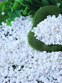 迷你白色鹅卵石填充物，适用于多肉植物、仙人掌、盆景和其他DIY植物，可用于岩石花园装饰，也适用于室内/室外、水族箱、玻璃容器和微景观。 - 白色 - 查看 5