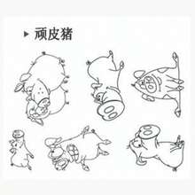 ختم شفاف عنصر خلفية DIY للحساب، ديكور بطاقة رجعي