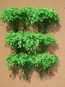 Green Baby's Breath