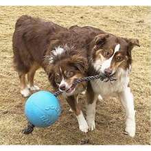 Jolly Pets Romp-n-Roll Rope and Ball Dog Toy, , Blue(8 in (Pack of 1) Azul (Arándano)) - Tipo 2 - Ver 3