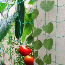 "3pcs Heavy Duty Plant Trellis Netting 70.8x35.4 Inches, Extra Large Climbing Plant Support Grid For Outdoor Gardening, Vegetable Vine Training Net, Garden Trellis For Cucumbers, Tomatoes, Peas, And Flowering Plants" - 綠色 3件裝 - 查看 3