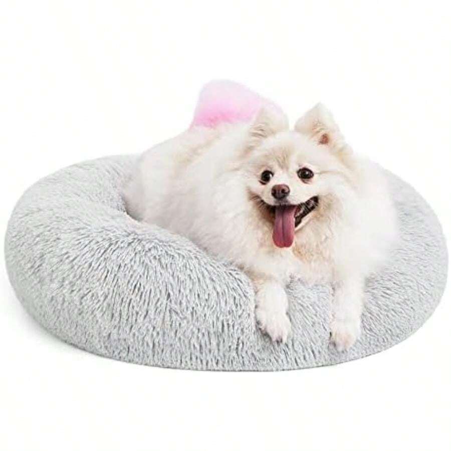 MIXJOY Orthopedic Dog Bed Comfortable Donut Cuddler Round Pet Beds Ultra Soft Washable Dog And Cat Cushion (20''/23''/30'') (23'', )(S(23''x 23'') Grey) - Type7 - 查看 1