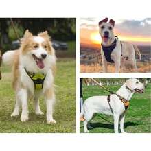 Arnés para perro sin tirones con 1 clip para correa, ajustable y acolchado suave, chaleco para mascotas de Oxford reflectante sin ahogo con asa de control fácil