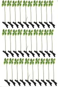 20PC WORDS Word Clips For Hair Word Sprout Pack Black White FunnySprouts Phrases Slang Rave Plur Festival EDM Concert Cute Small Hairpins Headwear Hair Accessories - ColorC - 查看 1