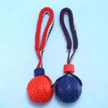 1 pezzo Giocattolo per animali domestici in cotone con nodo, a forma di osso e palla, per masticare e giocare in modo interattivo, colore casuale