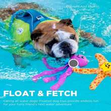 Outward Hound Floatiez Stingray Floating Interactive Dog Toy, Large - MàuA - Xem 4