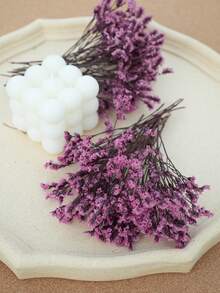 Pink Crystal Grass 2