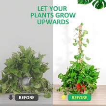1 件柔性植物棚架支撑杆，DIY 可定制植物攀爬柱 - 單一尺寸 - 查看 3