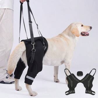 1Pc Breathable Dog Support Harness With Fishbone Design - Spine Protection For Senior & Disabled Dogs, Ideal For Outdoor Walking, Training & Stair Assistance, Fits All Medium To Large Dogs,Black XL.