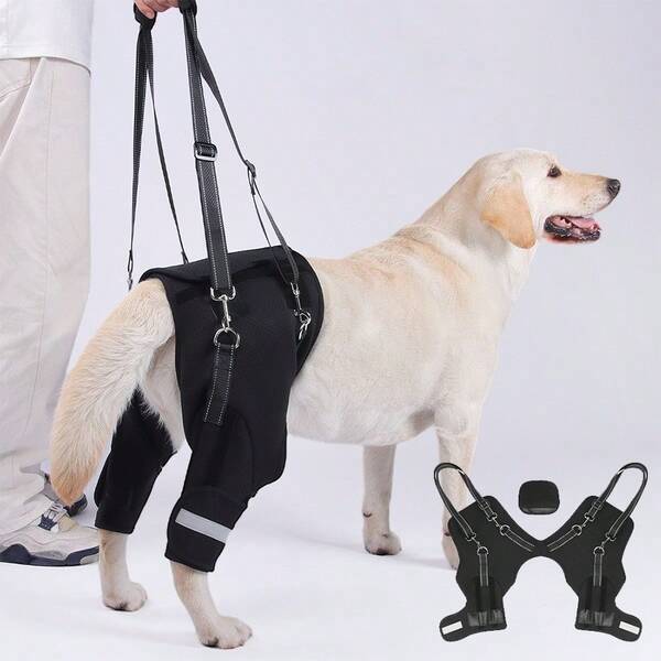 1 pièce Harnais de soutien pour chien respirant avec design en arête de poisson - Protection de la colonne vertébrale pour les chiens âgés et handicapés, idéal pour la promenade en extérieur, l'entraînement et l'aide aux escaliers, convient à tous les chiens de taille moyenne à grande, Noir XL.
