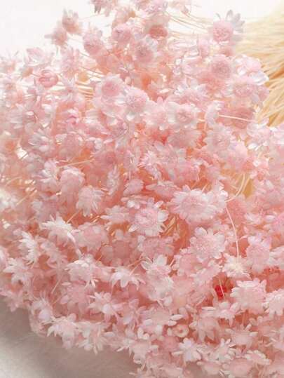 30/60/100/200 unidades, hastes, flores secas naturais, margaridas-estrela brasileiras, flores secas decorativas, mini buquê de margaridas e camomila para arranjos florais de casamento, decoração para casa, presentes para o Dia dos Namorados