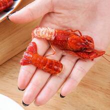Crayfish Shelling Tool - Dual-Purpose Crayfish Shell Opener & Meat Extractor, Shell Remover Clamp
