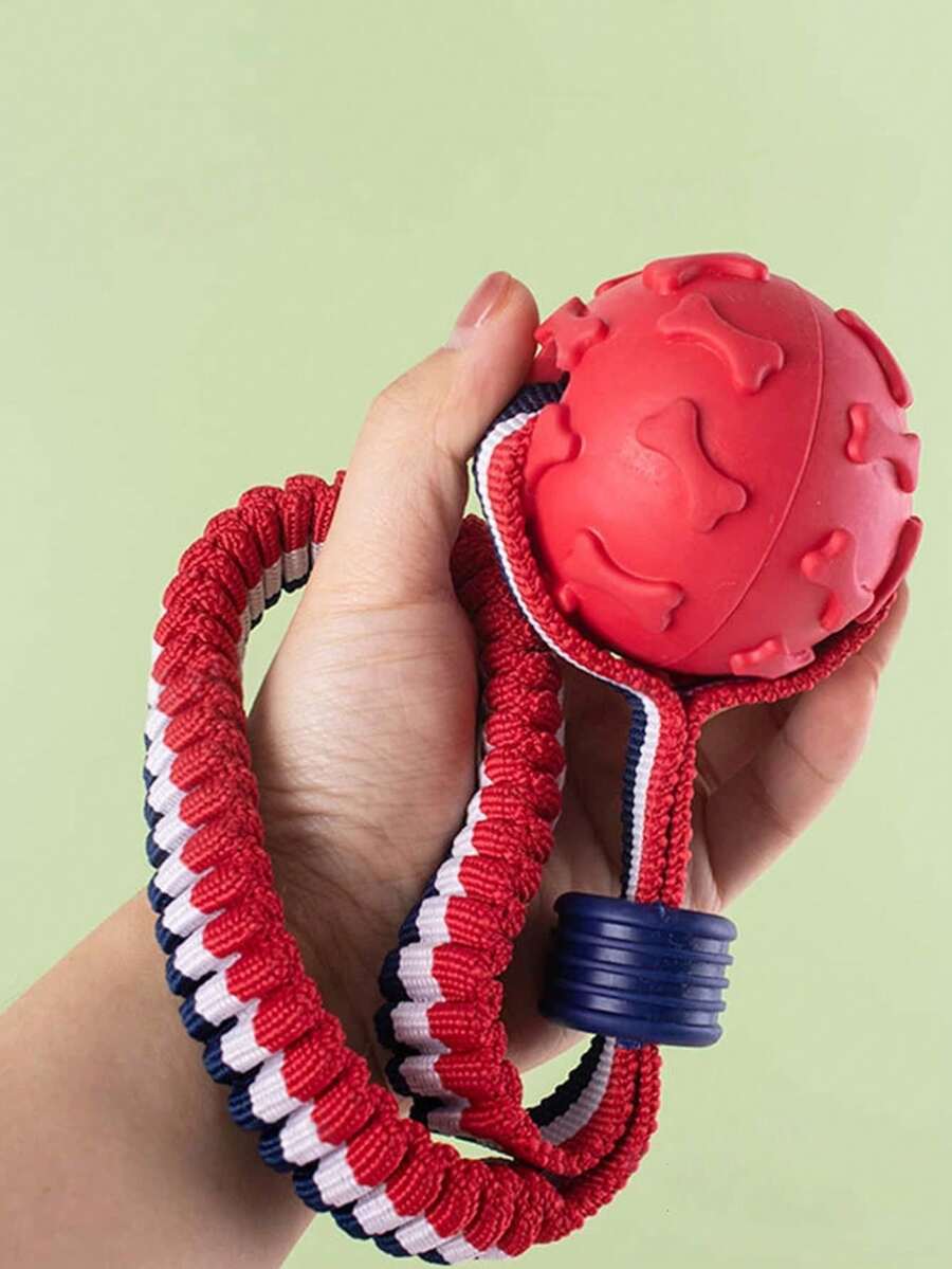 1 pezzo Giocattolo per animali domestici in cotone con nodo, a forma di osso e palla, per masticare e giocare in modo interattivo, colore casuale