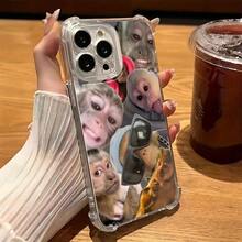 Funda a prueba de golpes de borde suave y moderno, patrón de gafas de moda, funda de teléfono divertida con mono, compatible con iPhone 16 15 14 13 12 11 Pro Max X XR XS MAX 8 7 Plus, funda trasera transparente suave a prueba de golpes. Esta funda a prueba de golpes es un compañero confiable para tu teléfono. Esta funda a prueba de golpes es un compañero confiable para tu teléfono. - 1 pieza - Ver 3