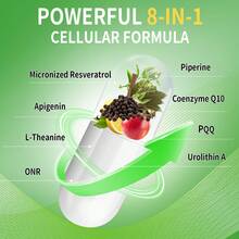 Gwynne Urolithin A 1000mg Complex Supplement 90 Cápsulas,con Nr, Resveratrol, Coq10, Pqq Y L-theanine Apoyo A La Energía Mitocondrial Y Celular - Otros - Ver 2