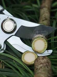 1pc Multi-Functional Pruning Shears, Garden Fruit Tree Pruning Scissors, Multi-Color - Multicolor - View 6