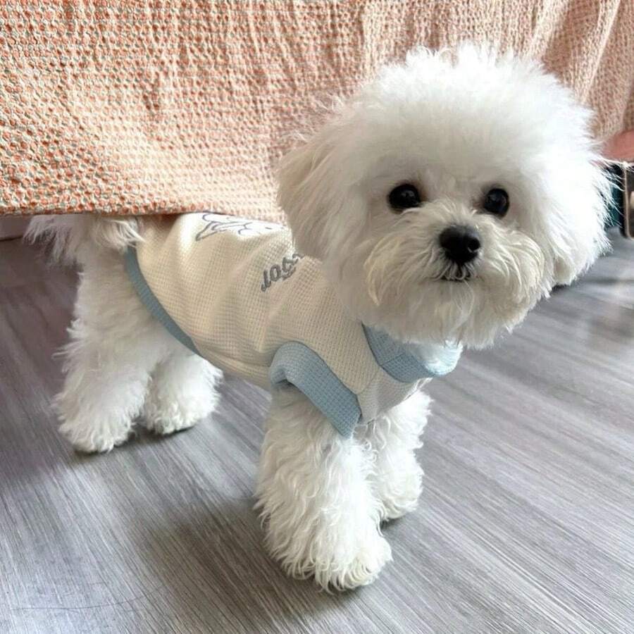 1 件轻便宠物狗/猫衣服，适合贵宾犬、泰迪犬、比熊犬、马耳他小型犬，防脱毛背心，四季皆宜
