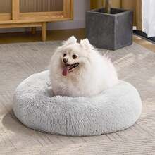 MIXJOY Orthopedic Dog Bed Comfortable Donut Cuddler Round Pet Beds Ultra Soft Washable Dog And Cat Cushion (20''/23''/30'') (23'', )(S(23''x 23'') Grey) - Type7 - 查看 7