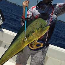 Barra telescópica para pesca gancho acero inoxidable mango aluminio mar - AZUL Longitud de expansión: 47.2 IN blue - Ver 11