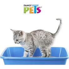 Fancy Pets Aglutinante para Gato con 12.5 Kilogramos - 3 kilos - Ver 2