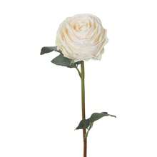 1/3/6pcs Artificial Flame Rose, White, Suitable For Mother's Day Decor ...