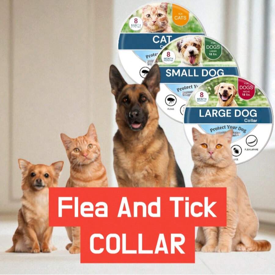 Flea & Tick Collar For Cats And Dogs (Small & Large) – Long Lasting, Waterproof, 8 Month Supply, Odorless - Cat - View 1