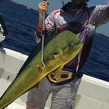 Barra telescópica para pesca gancho acero inoxidable mango aluminio mar - Longitud de expansión gris: 55 pulgadas - Ver 5