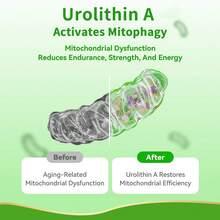 Gwynne Urolithin A 1000mg Complex Supplement 90 Cápsulas,con Nr, Resveratrol, Coq10, Pqq Y L-theanine Apoyo A La Energía Mitocondrial Y Celular - Otros - Ver 5