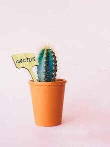 Targhetta in legno personalizzata con nome famiglia, decorazione da giardino personalizzata, fai da te, etichetta in legno per piante grasse, cartellino floreale, etichetta creativa per giardinaggio, regalo di Ringraziamento, regalo per amanti dei libri, decorazione d'interni estetica con fiori e articoli essenziali, per casa, libreria, camera da letto, soggiorno e ufficio, regalo per signore e insegnanti - San Valentino, matrimonio, regalo del lunedì