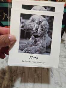 1/4/6/8 buc etichetă personalizată pentru vin, etichetă impermeabilă, etichetă personalizată pentru vin, fotografie alb-negru, fotografie alb-negru cu majuscule, domnișoară de onoare, cerere în căsătorie, etichetă de vin, cadou de nuntă, cadou de aniversare, cadou de logodnă, cadou pentru el/ea, cadou de Ziua Mamei, autocolante pentru cadou de Ziua Tatălui, etichetă de șampanie