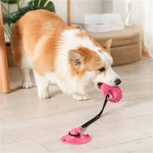 2pcs/1pc Pet Anti-Bite Suction Cup Tug Toy, Cleans Teeth And Prevents Food Leakage, Interactive Toy - Multicolor - View 4